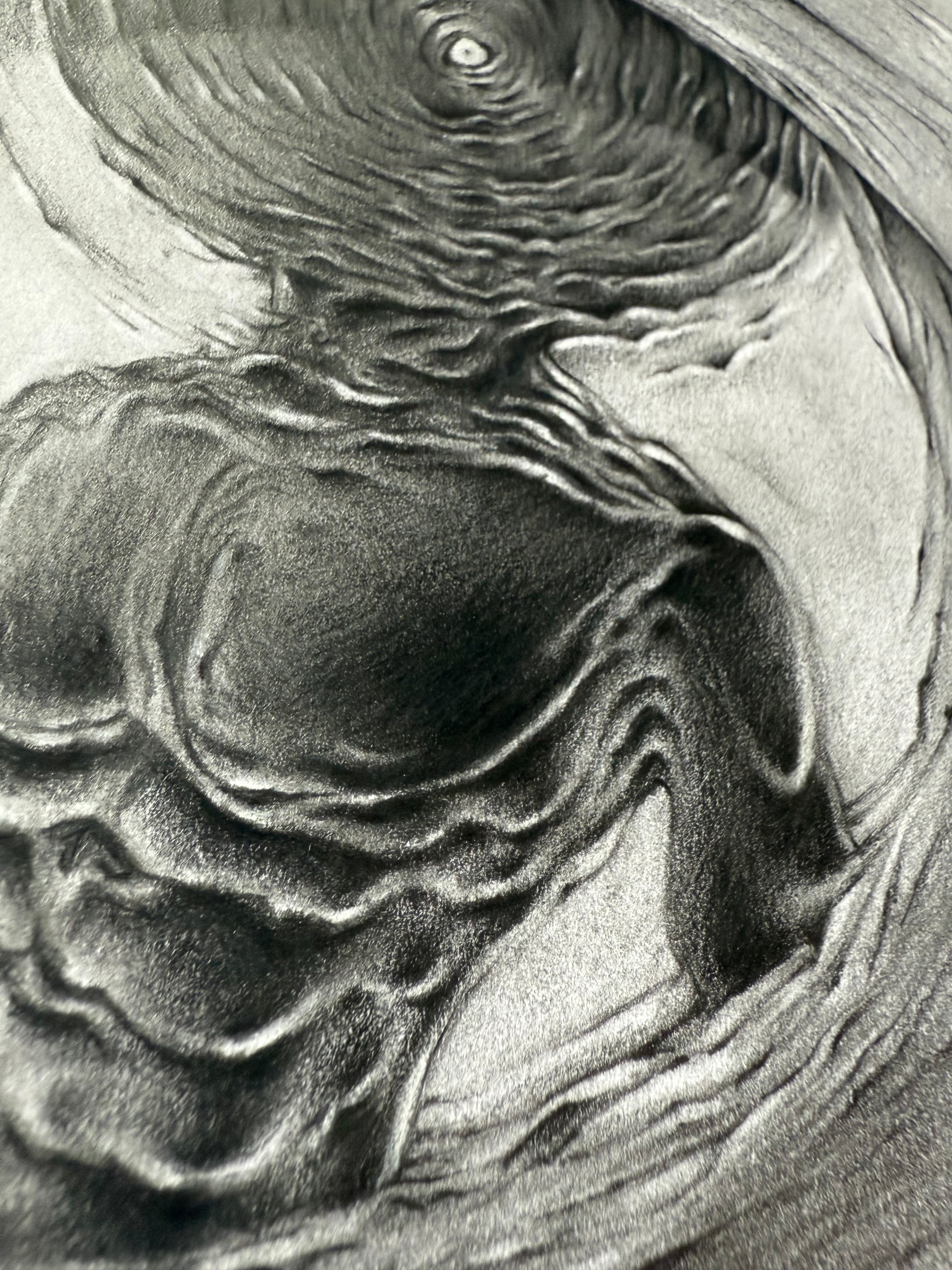 Whorl